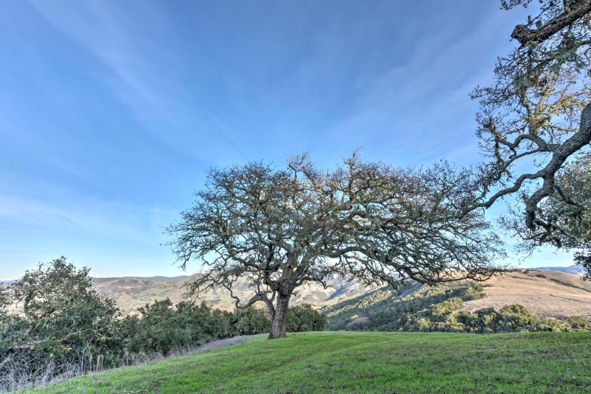 Lx37 Weathertop Ranch In Carmel Wine Country وادي كارمل المظهر الخارجي الصورة
