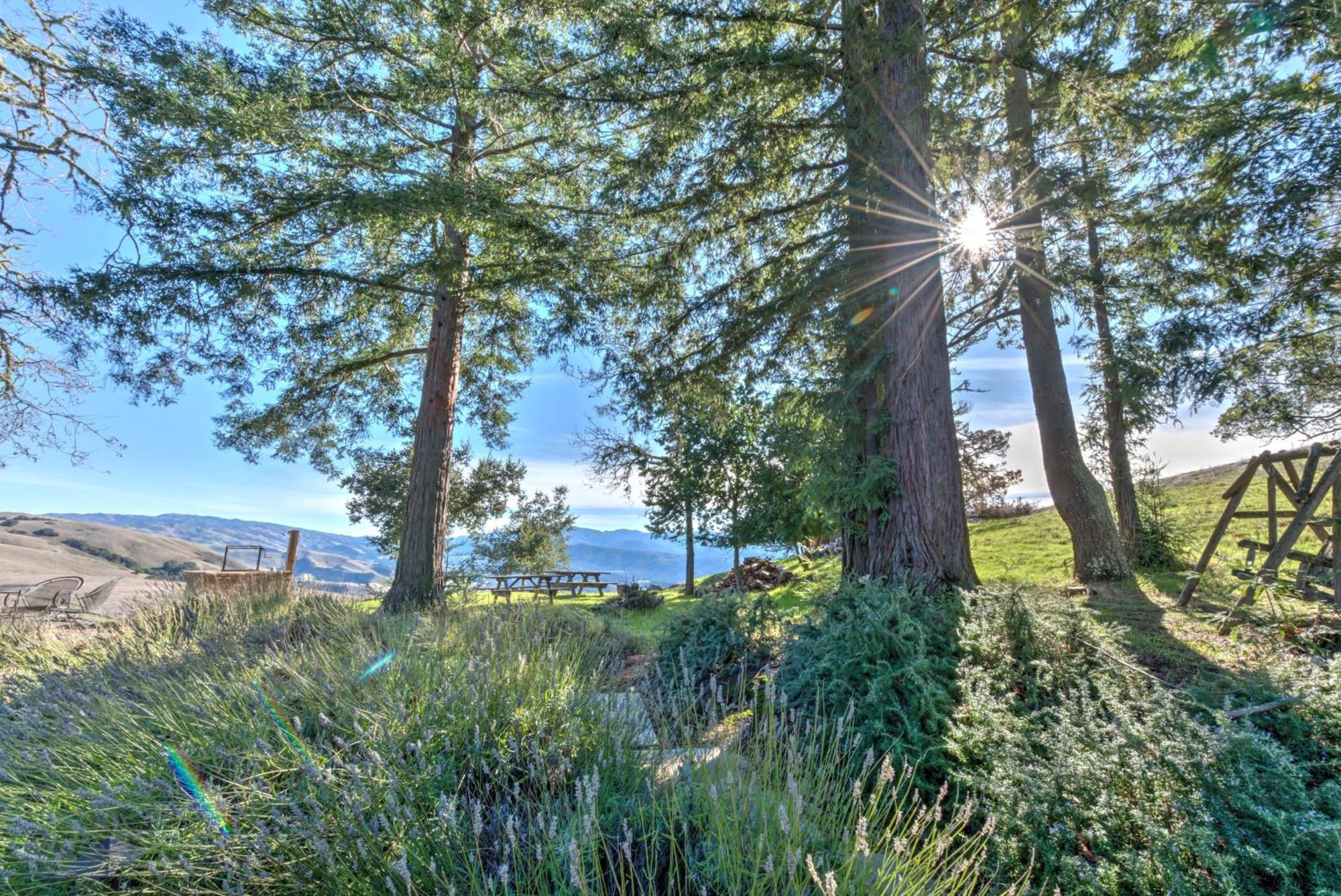 Lx37 Weathertop Ranch In Carmel Wine Country وادي كارمل المظهر الخارجي الصورة